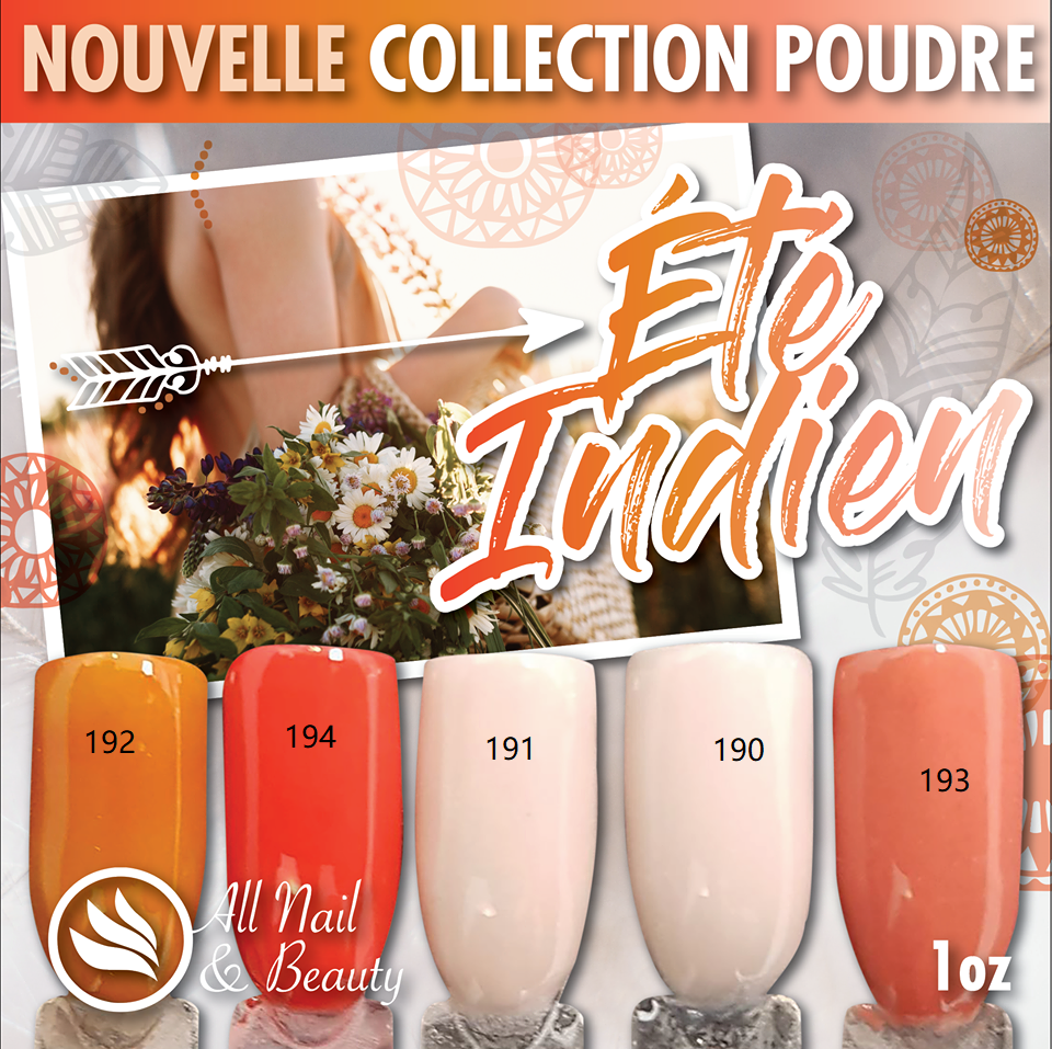 Poudre de couleurs variées All Nail and Beauty – Image 13