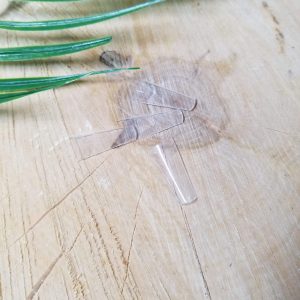 Prothèse ballerine c curl